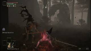 Elden Ring - Wormface RL1+0 (No Hit, Zwei Only, Med Roll Only)