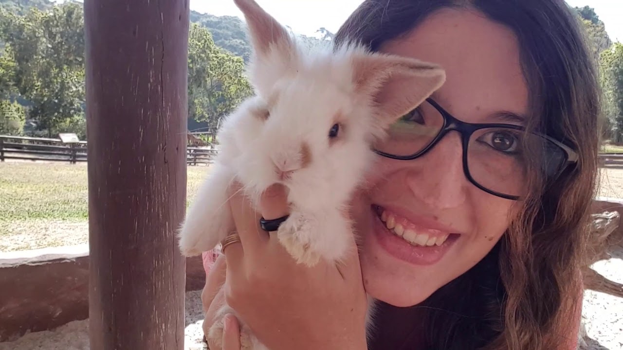 Visitando o Mini Zoo do Zoo Parque - UDP