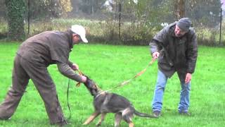 Chocolatejugendsichtung