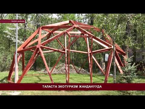 Video: Дандропарк – жаратылыштын уникалдуу бөлүгү