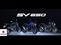 Color Lineup | 2025 SV650 | Suzuki