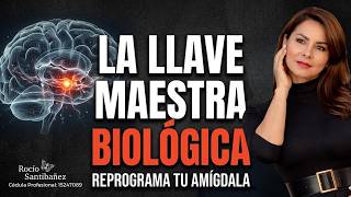 La llave Maestra Biológica: El Fortalecimiento Que Más Necesitas (Sentirse a Salvo)