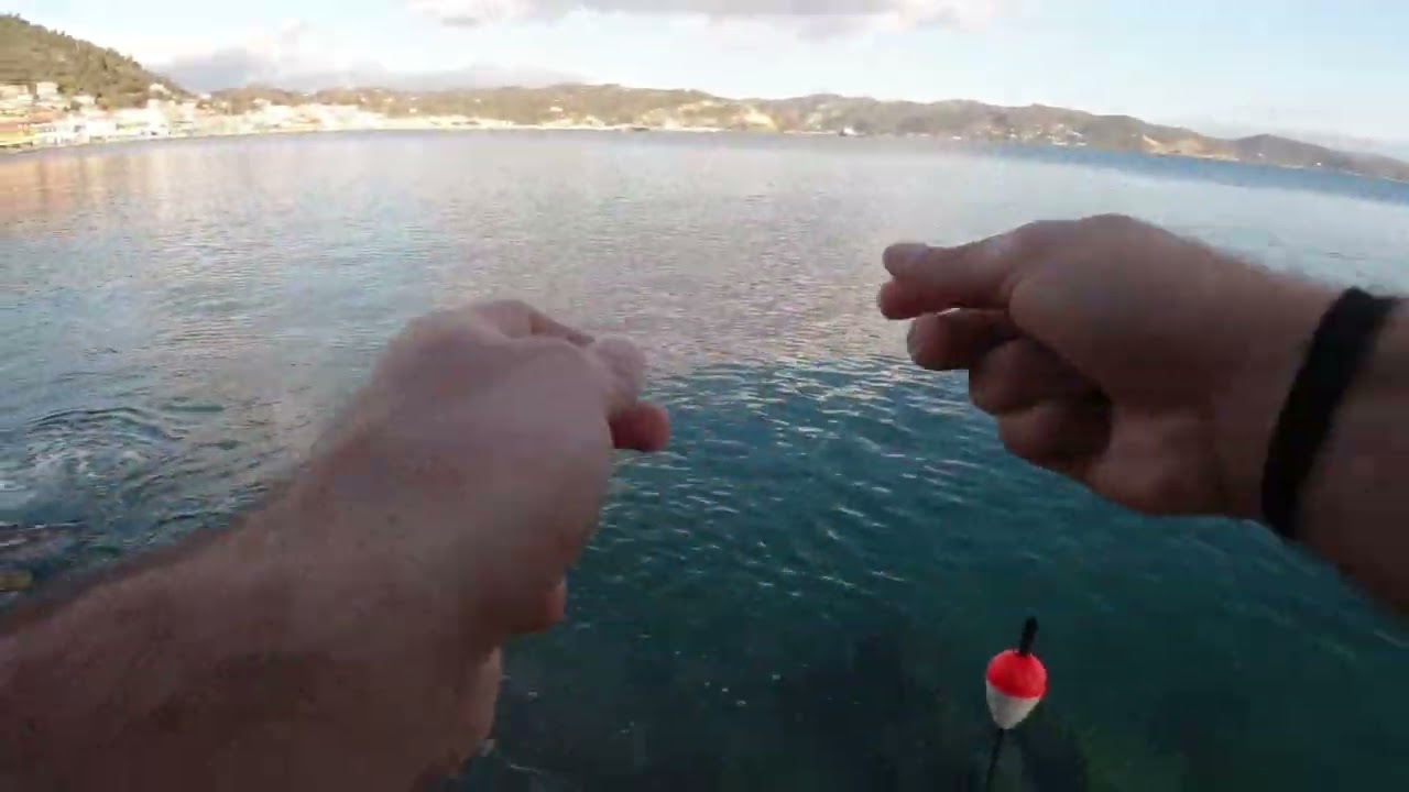 Ψάρεμα γόπας με ζυμάρι και 