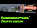 Закупка продуктов на неделю с ценами | Супермаркет Спар | Еда для похудения