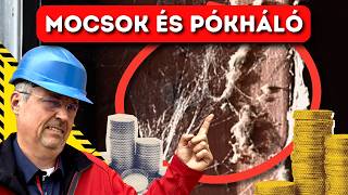 Rozsdaövezet vagy sikertörténet? Mi van a kulisszák mögött?