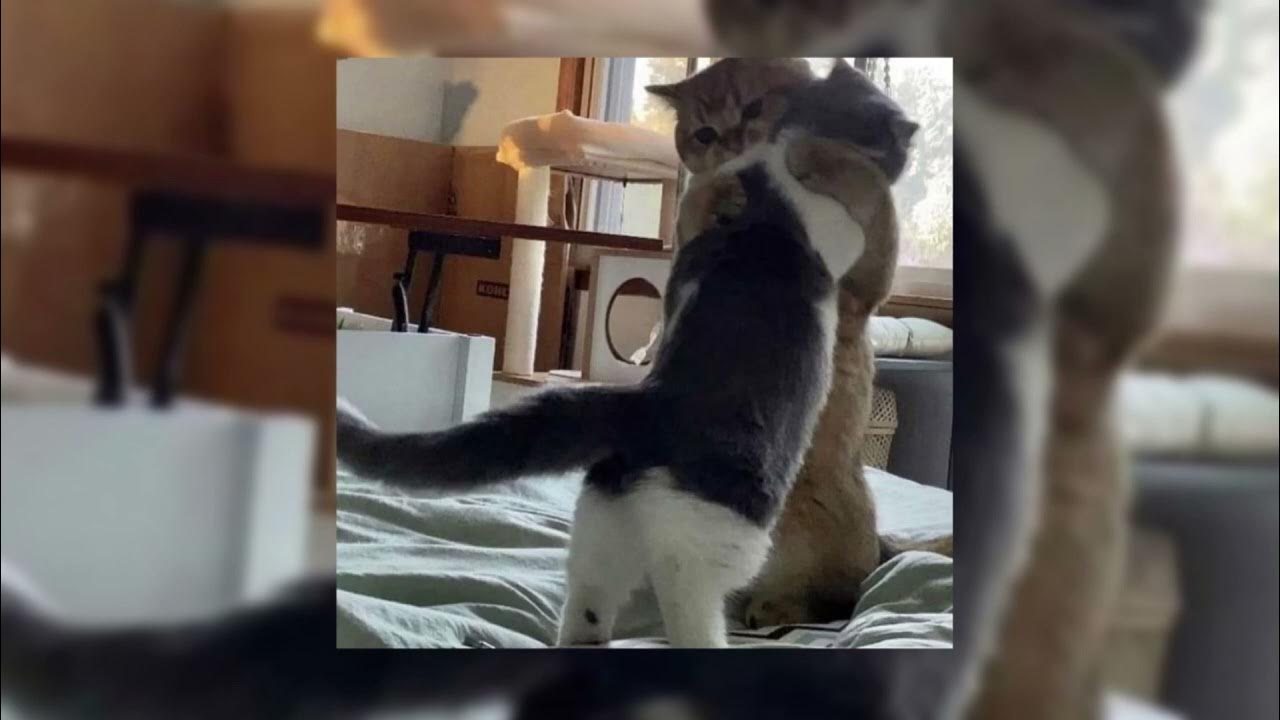 Lorde ribs (sped up) YouTube