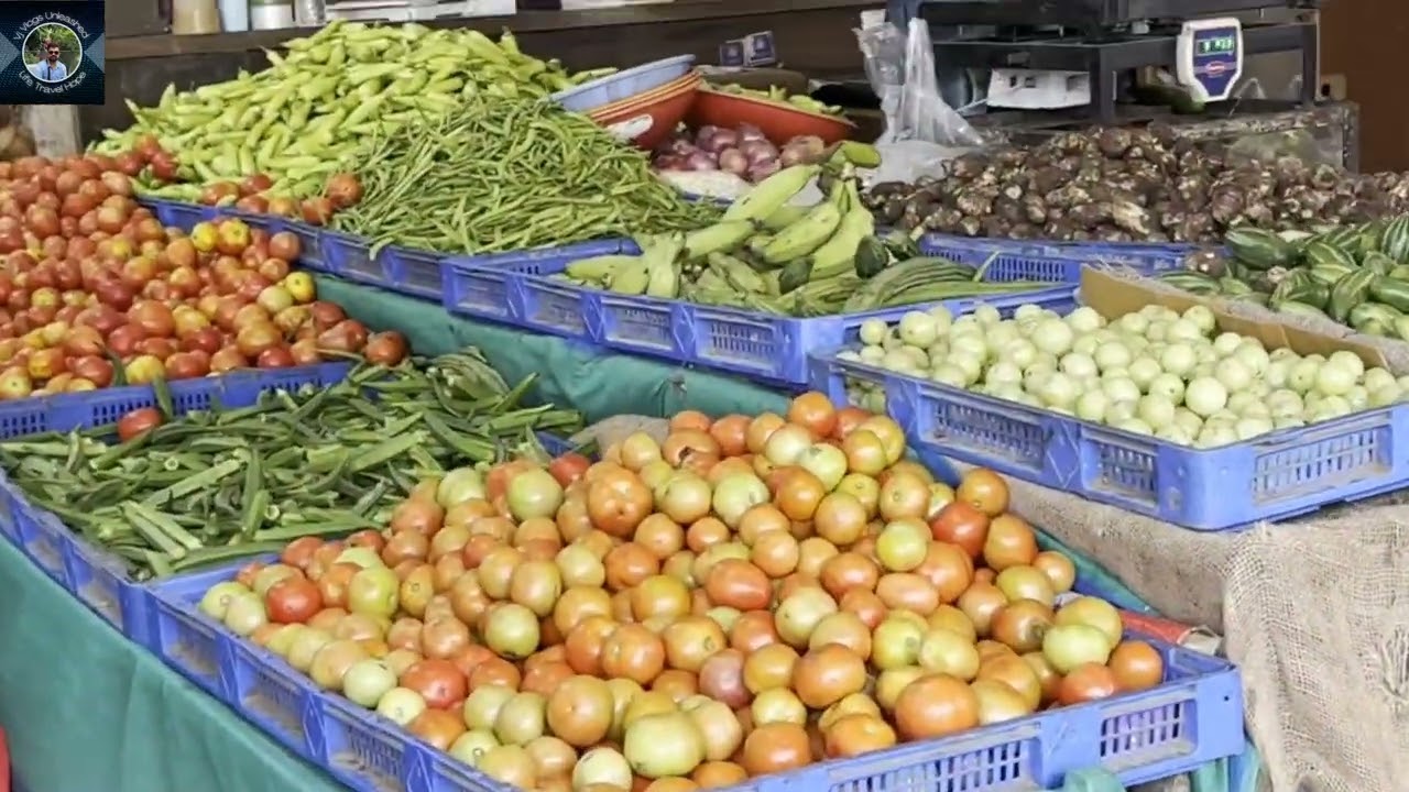 KARWAR SUNDAY MARKET | Exploring the fresh fruit & vegetable market 