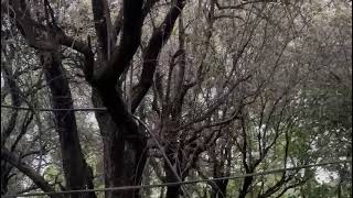 Must see nature at its best