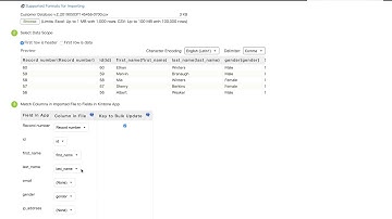 How to Import Data Sheets