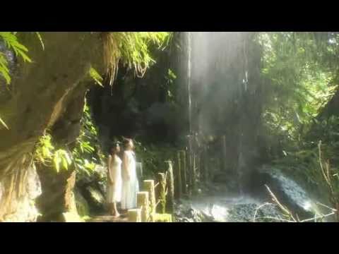 映画 今日という日が最後なら 予告編 