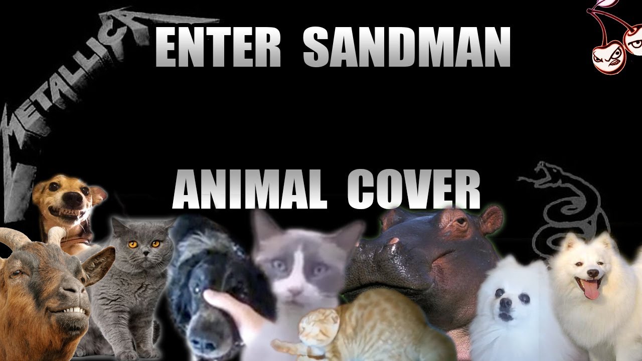 Metallica - Enter Sandman (Animal Cover)