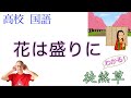【風流】花は盛りに〈徒然草〉【言語文化】高校国語教科書の解説【現代語訳/現代仮名遣い】〈第１３７段〉