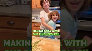 MAKING PINENEEDLE SODA!! #sisters #fyp #plants #learning #coolplants #edibleplants #kateandmadi  