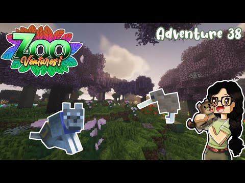 Exploring Uncharted Areas! | ZooVentures