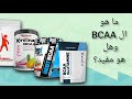 بري ورك اوت Bcaa طريقة استخدام Bcaa شرح Bcaa مكمل 