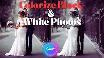 How To Colorize Black and White Photos In Canva | Canva Tutorial For Beginners | Change Image Color