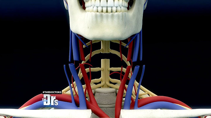 Is Head Transplant Surgery Possible?