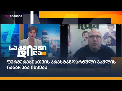 ფერმერებისთვის არასტანდარტული ვაშლის ჩაბარება იწყება