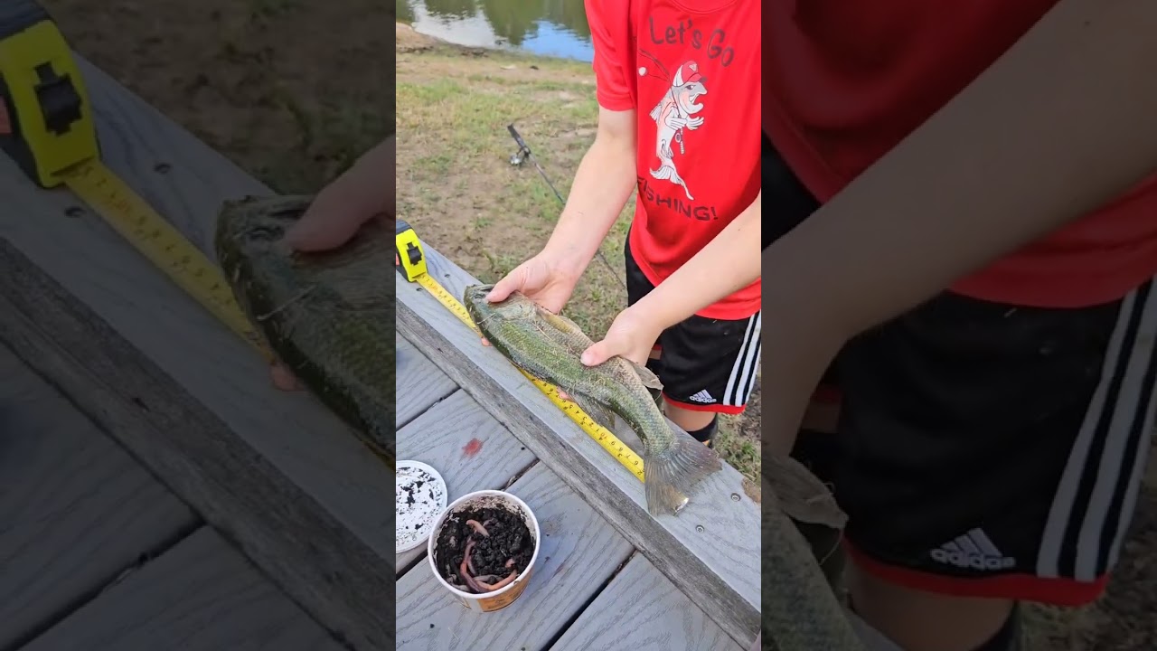 Big Bass on Independence Day
