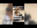 動物們最怕穿尿不溼的……哈哈