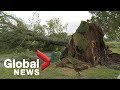 Hurricane Dorian: Storm wreaks havoc on Halifax