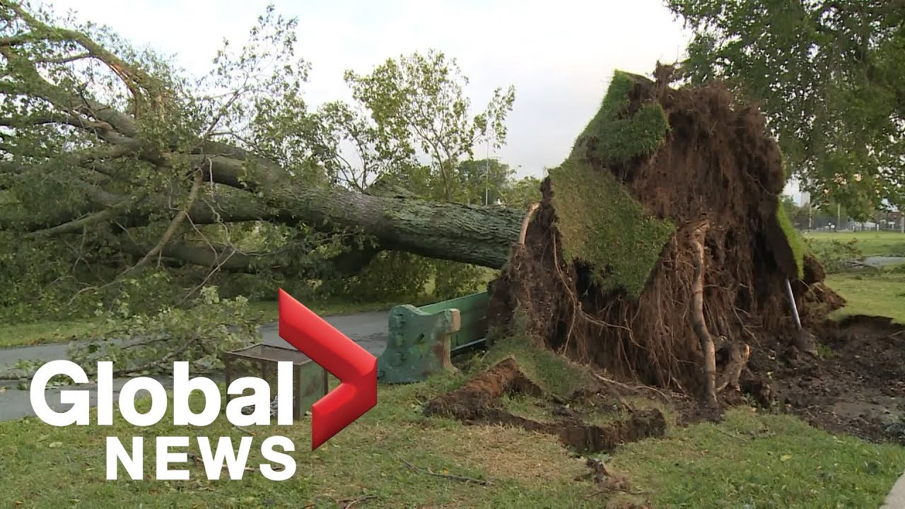 Hurricane Dorian: Storm wreaks havoc on Halifax global television halifax