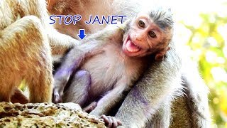 Stop Janet Janna Cry Hurt Cos Janet Fight Fly Around Jannas Wound What A Pity Janna