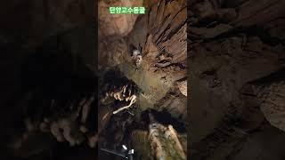 단양 고수동굴 영상