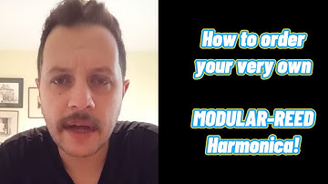 MODULAR-REED HARMONICA - Build your Own Harp, it