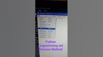 python programming set delete element remove method code example udahran