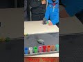 What a clever parrot #funny