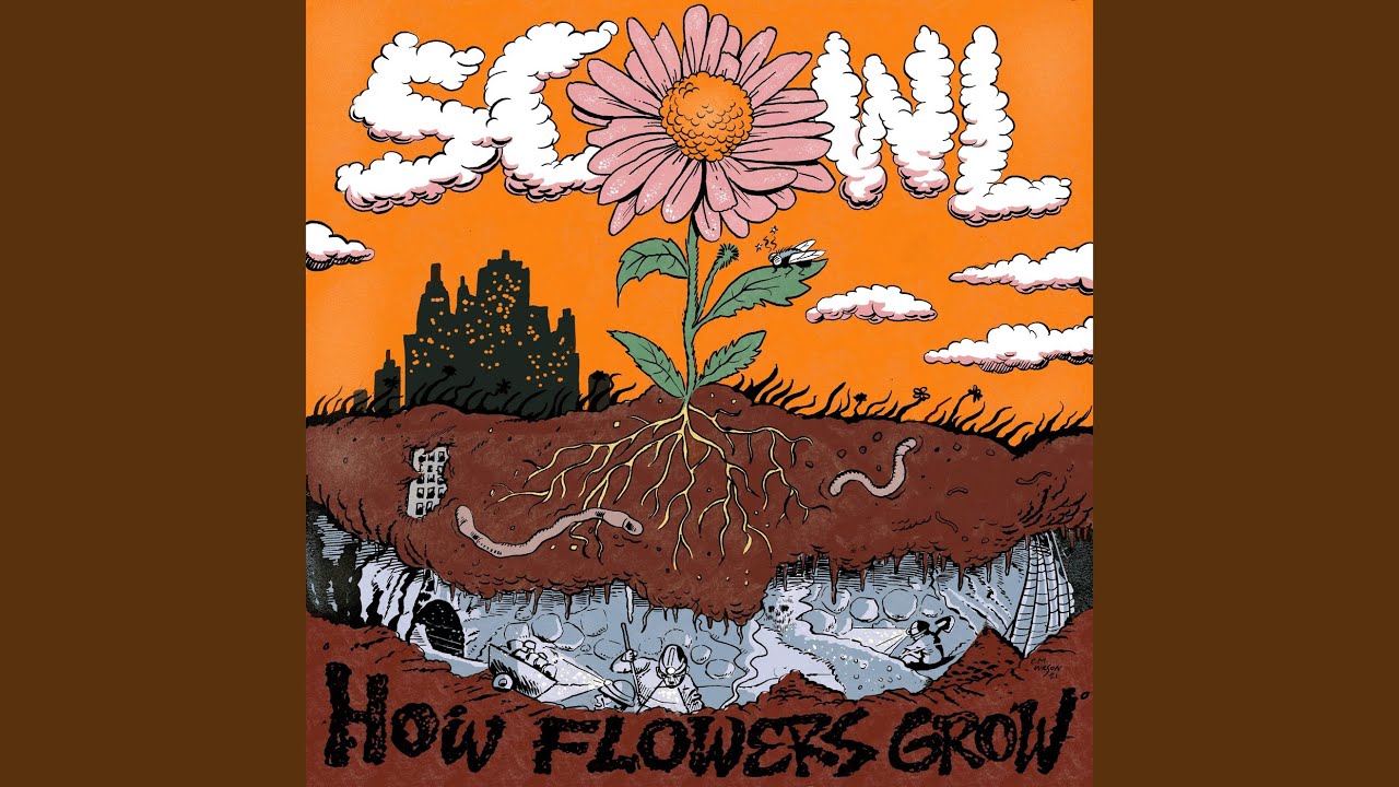 Scowl - Roots akkorde