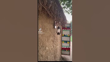 ١٤ نوفمبر ٢٠٢٢تلاوة خاشعة فضيلة الشيخ عبدالله الخليفي رحمه الله تعالى