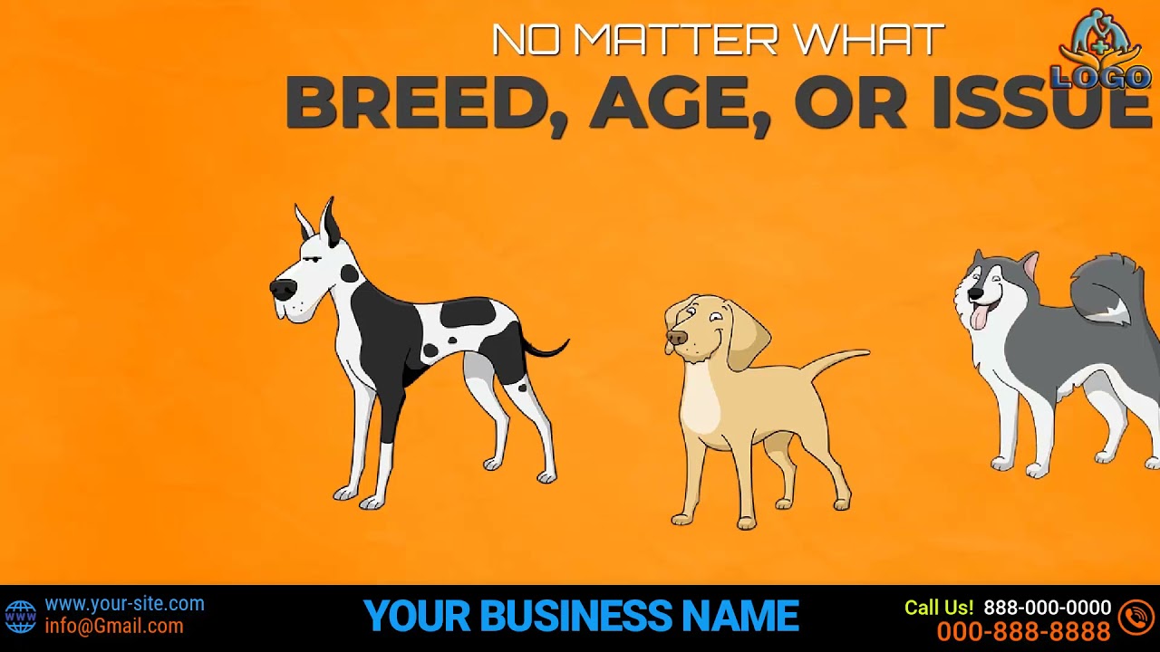 Make dog training video dog grooming service dog care dog walking dog