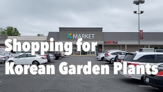 Ep. 14 Shopping for Korean Garden Plants (KMarket & HMart)