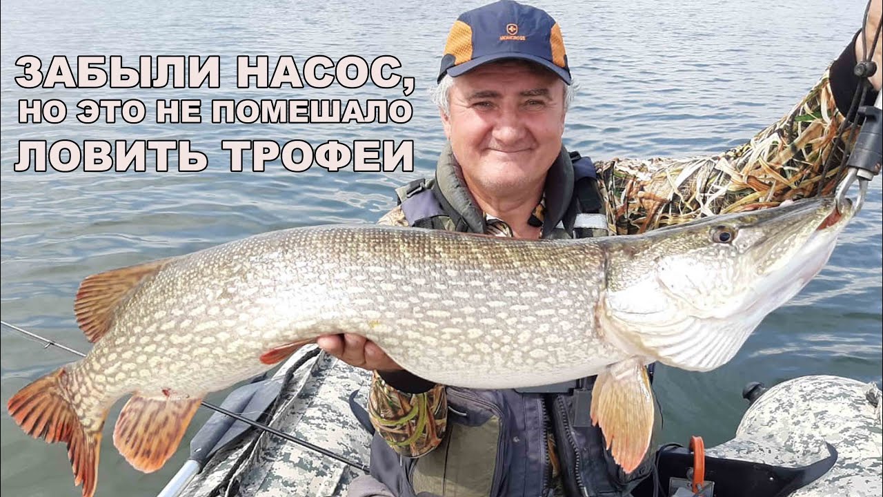 Мелкая щука на крючке