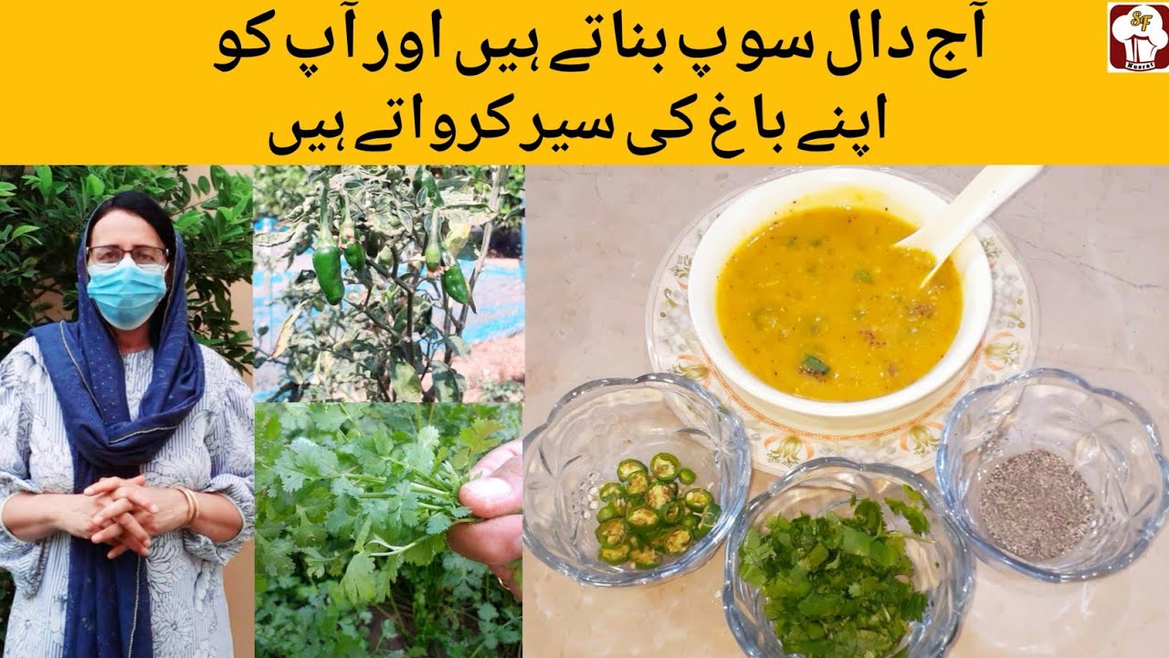 Daal Soup Recipe| Best for cough, flu, cold| Soup for Weight Loss| Soup Recipe 
