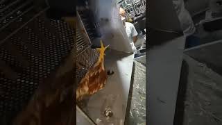 Amazing Chicken  Processing Machine Commercial