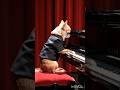 Chihuahua Adventures in AI Land #playingpiano
