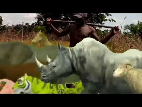 Lumbu Luchagula Ft Mayiku Say Mpya 2025