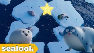 Merry Sealy Christmas!🎄ㅣSEALOOKㅣEP.86