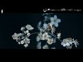 Ocoro - Jikimi (Your Melodies) Orchestral Trance