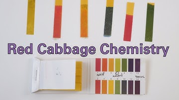 Red Cabbage Chemistry