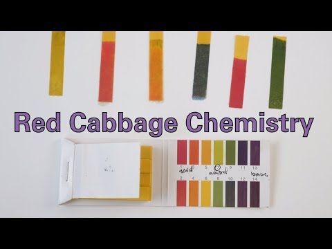 Acidic, Basic & Neutral Solutions, Overview, pH Scale & Uses - Video &  Lesson Transcript
