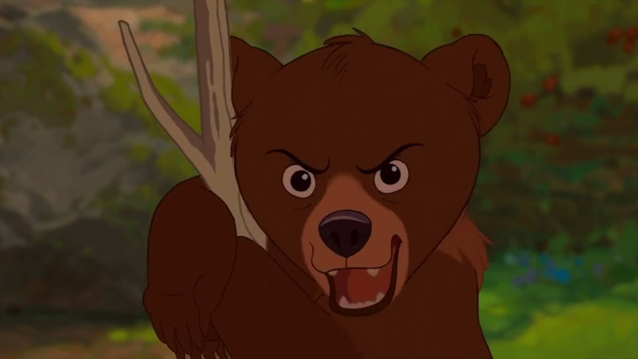 Tierra de osos (2003) YouTube