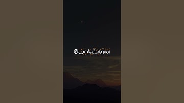 تلاوة عطرة للقارئ عبدالرحمن صاهود