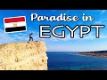 I FOUND PARADISE IN EGYPT South Sinai Adventures Part 1 الجنة في مصر Travel Vlog 