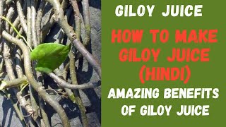 How To Make GILOY JUICE In Hindi || Amazing Benefits of Giloy Juice || Glam With Aastha ||