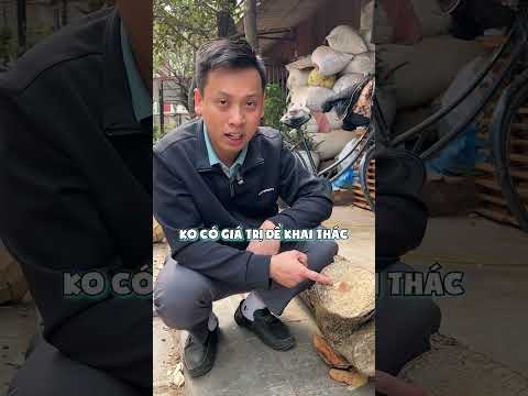 Cùng là gỗ