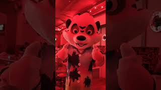 New Seaside Squad Poses